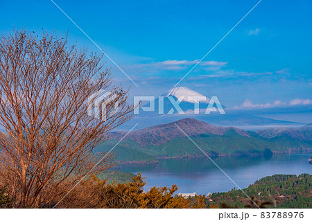 （神奈川県）紅葉の箱根天閣台から望む、富士山 83788976