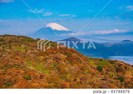 （神奈川県）紅葉の箱根天閣台から望む、富士山 83788979