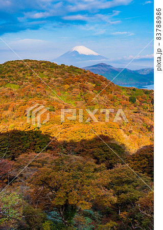 （神奈川県）紅葉の箱根天閣台から望む、富士山 83788986