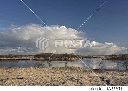 早春の天塩川 早春の天塩川 83789514