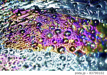 太陽光を薄氷りに偏光板(フィルター)を使い通して出来た色模様 太陽光を薄氷りに偏光板(フィルター)を使い通して出来た色模様 83790102