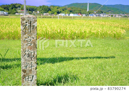伊雑宮　神宮　内宮別宮　御料田 83790274