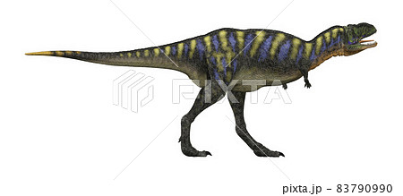 アウカサウルス☆Aucasaurus アウカサウルス☆Aucasaurus 83790990