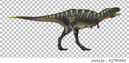 アウカサウルス☆Aucasaurus アウカサウルス☆Aucasaurus 83790990