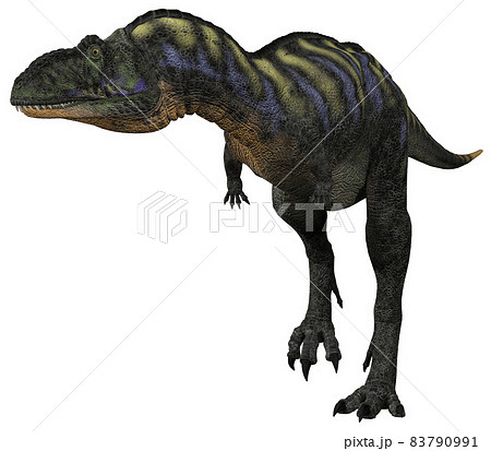 アウカサウルス☆Aucasaurus 83790991