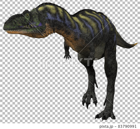 アウカサウルス☆Aucasaurus 83790991