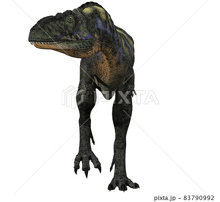 アウカサウルス☆Aucasaurus 83790992