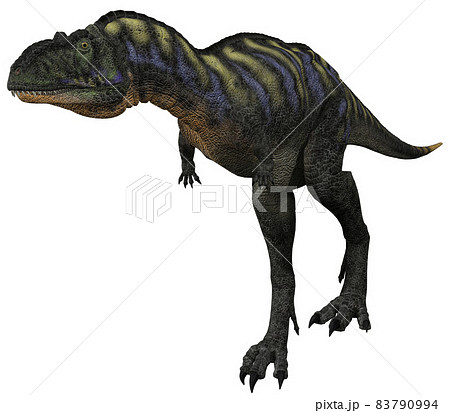 アウカサウルス☆Aucasaurus 83790994