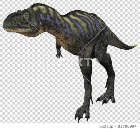 アウカサウルス☆Aucasaurus 83790994