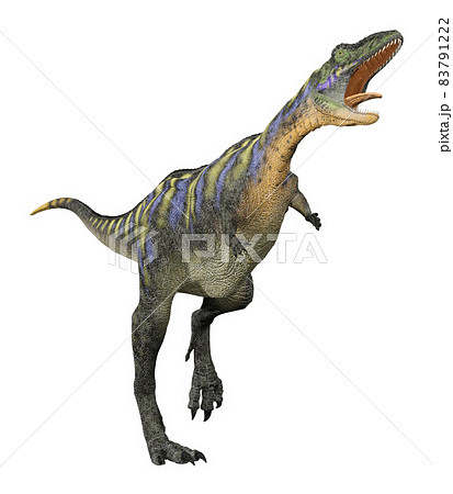 アウカサウルス☆Aucasaurus 83791222
