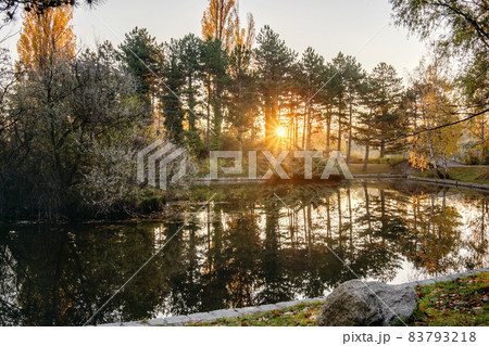 Beautiful sunrise in Vienna city park 83793218