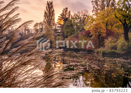 Picturesque sunrise in Vienna city Picturesque sunrise in Vienna city 83793225