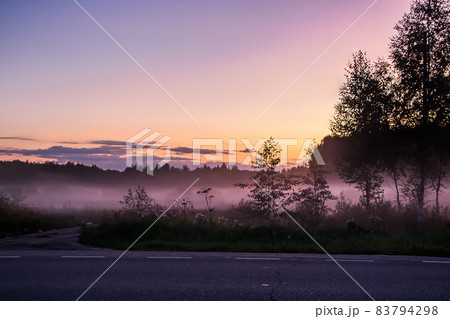 Beautiful purple and pink fog in the forest at sunset. Twilight in nature, blurred background for design Beautiful purple and pink fog in the forest at sunset. Twilight in nature, blurred background for design 83794298