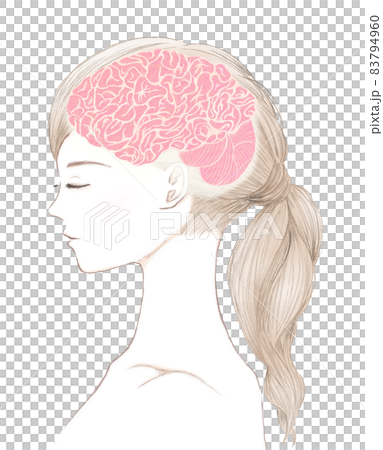 年輕女性和大腦的模擬插圖 年輕女性和大腦的模擬插圖 83794960