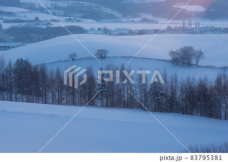 厳冬の曙光　美瑛 83795381