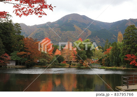 秋の由布院（金鱗湖） 83795766