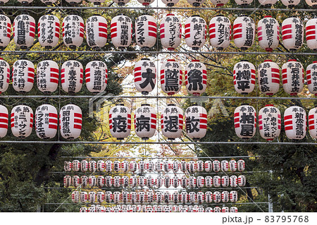 酉の市 提灯 商売繁盛 鳥居 神社 酉の市 提灯 商売繁盛 鳥居 神社 83795768