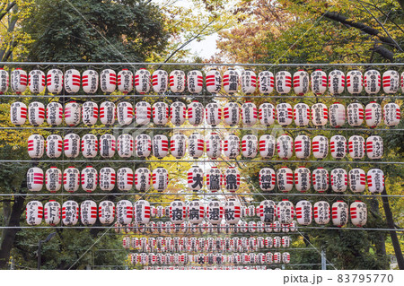 酉の市 提灯 商売繁盛 鳥居 神社 酉の市 提灯 商売繁盛 鳥居 神社 83795770