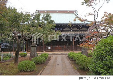 豪徳寺の仏殿 83796348