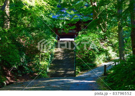 鎌倉 妙本寺の二天門 鎌倉 妙本寺の二天門 83796552