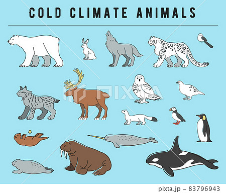 寒い地域に住む動物のイラストセット 83796943