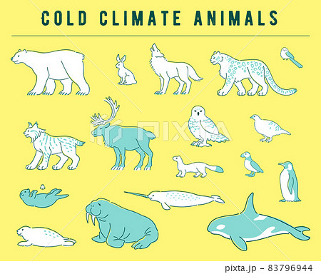 Illustration set of animals living in cold areas - Stock Illustration  [83796944] - PIXTA