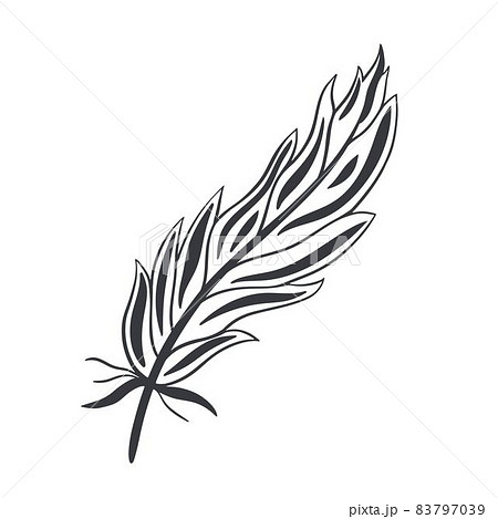 Graceful curved bird feather sketch hand drawing. 83797039