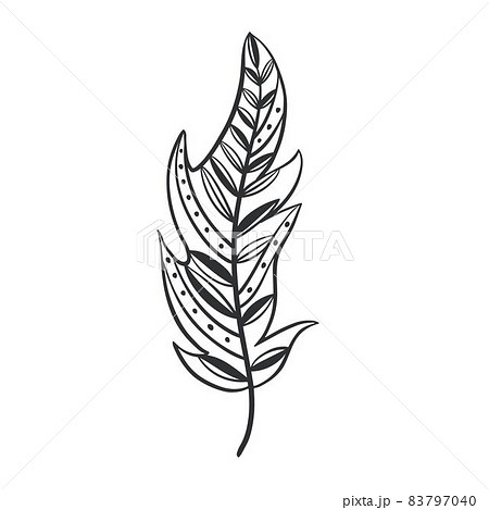 Isolated bird feather decorated with patterns, hand drawing. 83797040