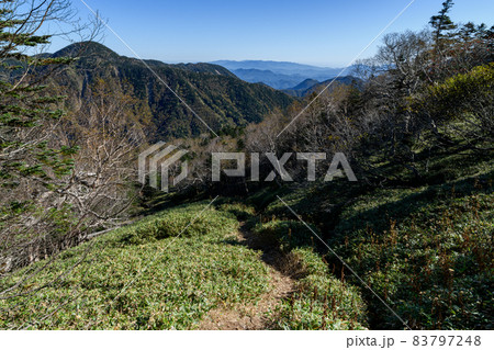 秋の温泉ヶ岳と登山道 83797248