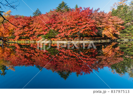 紅葉とリフレクション 83797513