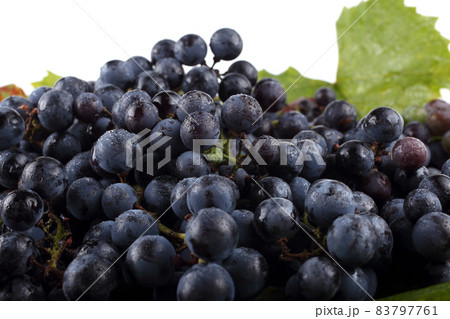 Wine grape on autumn leaves background Wine grape on autumn leaves background 83797761