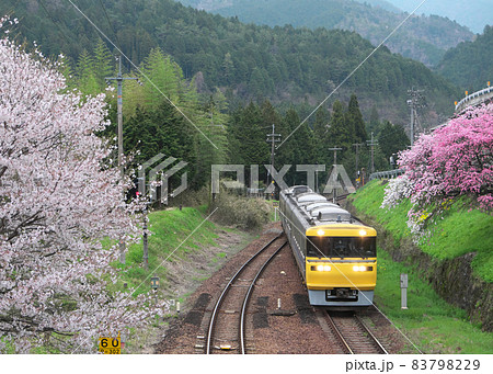 高山本線　飛騨金山-下油井間を行くドクター東海 83798229