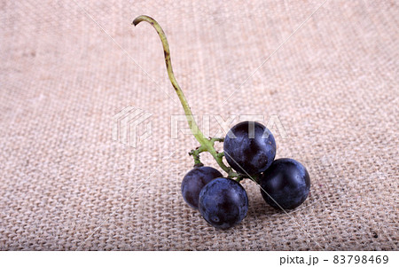Black wine grape on bagging Black wine grape on bagging 83798469