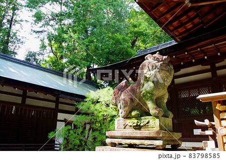 東天王岡﨑神社　狛犬 83798585