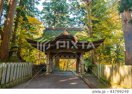 大神山神社奥宮の紅葉 83799249