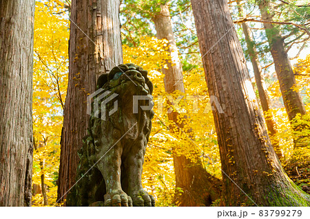 大神山神社奥宮の紅葉 大神山神社奥宮の紅葉 83799279