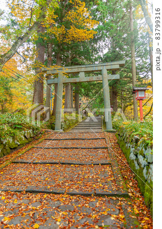 大神山神社奥宮の紅葉 83799316