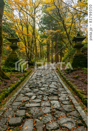 大神山神社奥宮の紅葉 大神山神社奥宮の紅葉 83799350