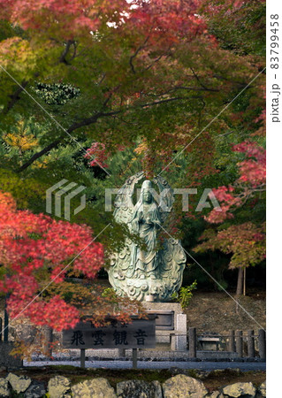 嵐山の紅葉 嵐山の紅葉 83799458