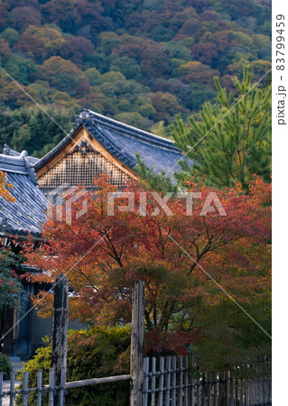 嵐山の紅葉 嵐山の紅葉 83799459