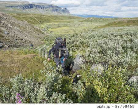 Man hiker with backpacks fills up plastic bottle, taking of water from a small mountain stream in beautiful northern landscape in Swedish Laplan. Enjoying the outdoors in the summer trekking vacation 83799469