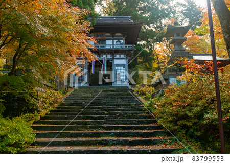 大山寺の紅葉 83799553