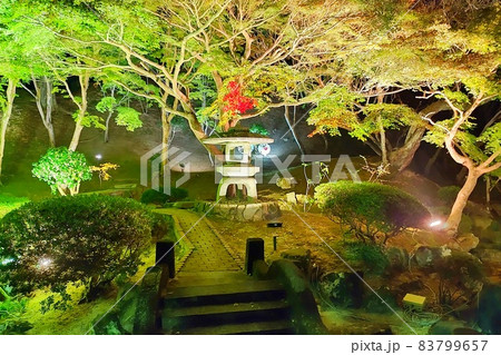 【広島県】ライトアップされた紅葉 尾関山公園 【広島県】ライトアップされた紅葉 尾関山公園 83799657
