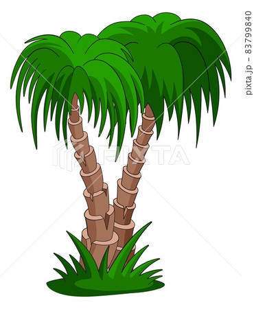 Pair of palms. Exotic resort tree in cartoon style Pair of palms. Exotic resort tree in cartoon style 83799840