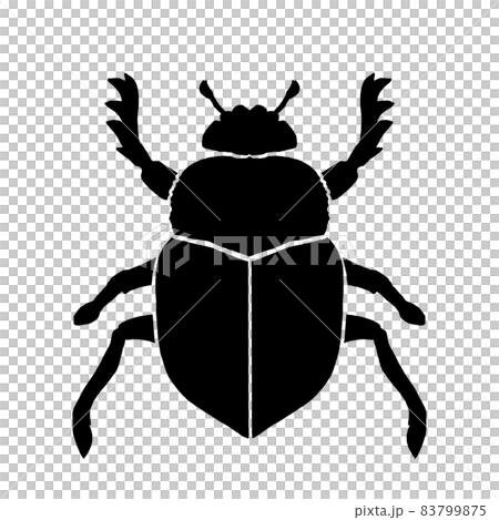 糞甲蟲的剪影插圖 83799875