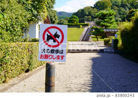 行燈山古墳（崇神天皇陵）／奈良県天理市 83800243