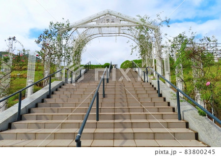 【広島県】バラ園に続く階段　広島市植物公園 83800245