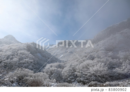 雪景色 霧氷 山 83800902