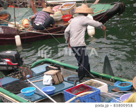 Hong Kong Sai kung new public pier fishin -boats. 22 June 2004 Hong Kong Sai kung new public pier fishin -boats. 22 June 2004 83800958