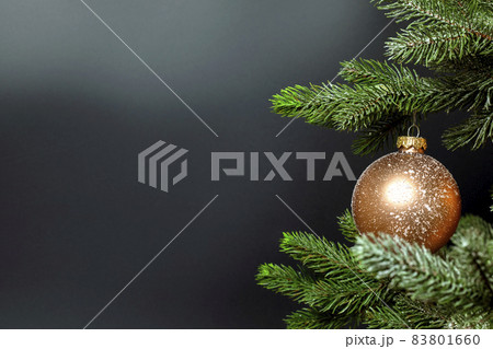 One single Christmas bauble hanging on fresh green branch of Christmas tree near dark black background with copy space, Merry Christmas, Holiday concept One single Christmas bauble hanging on fresh green branch of Christmas tree near dark black background with copy space, Merry Christmas, Holiday concept 83801660